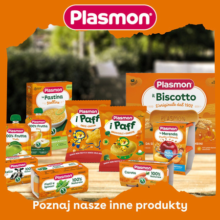 PLASMON Obiadek Łosoś z ziemniakami 2x80g 3 opakowania