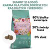 Sucha karma dla Psów Dorosłych Łosoś 10 kg SUMMIT 10