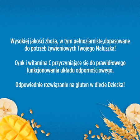 GERBER Grain&amp; Grow Kaszka owsiano-pszenna mleczna Banan Mango 200g