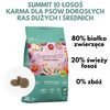 Sucha karma dla Psów Dorosłych Łosoś 2 kg SUMMIT 10