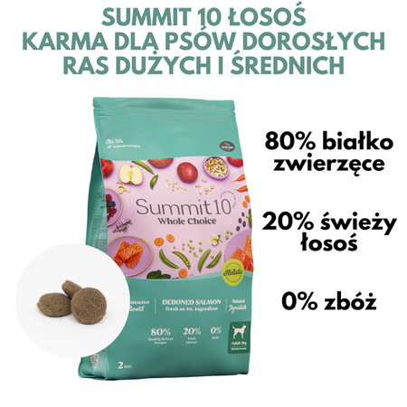 Sucha karma dla Psów Dorosłych Łosoś 2 kg SUMMIT 10